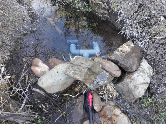 Water for pastures and multipurpose forests and sheds for goat shelter in the north of Neuquén.