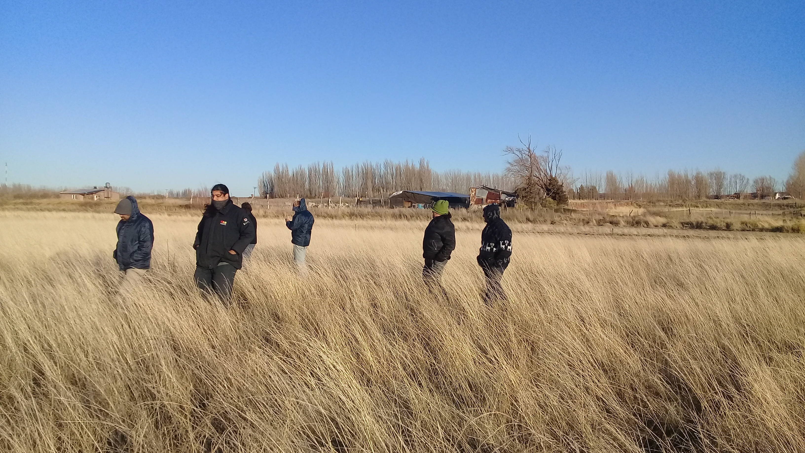 Plot walk-through