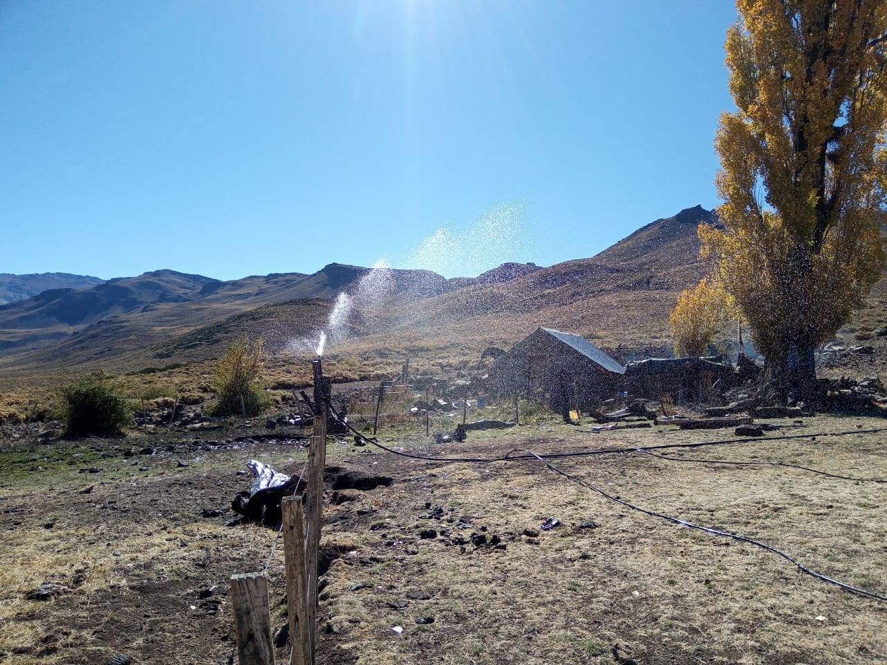 Sprinkler irrigation