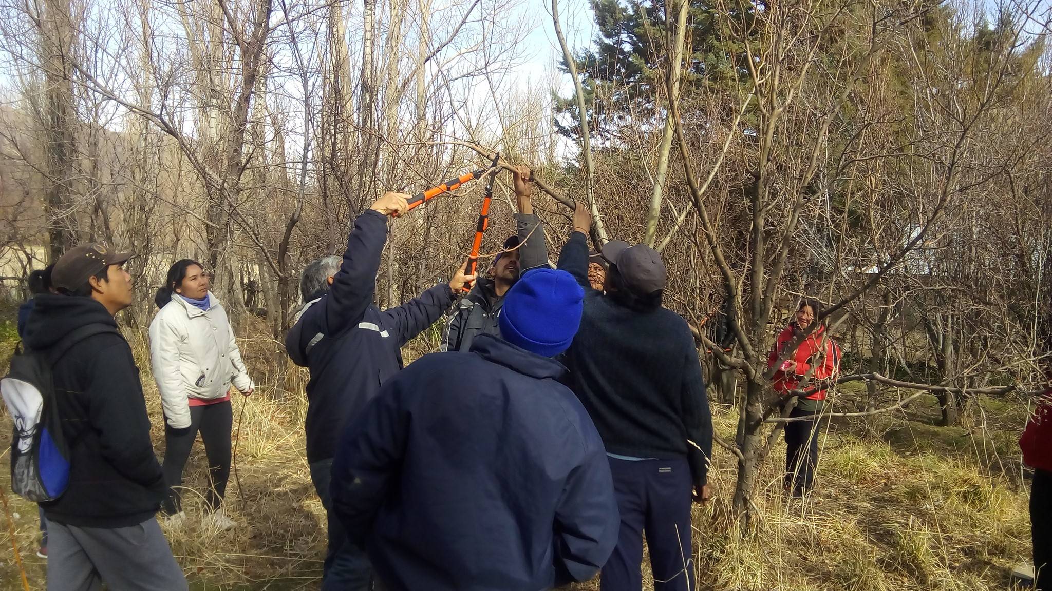 Pruning workshop