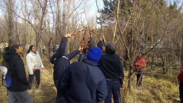 Pruning workshop