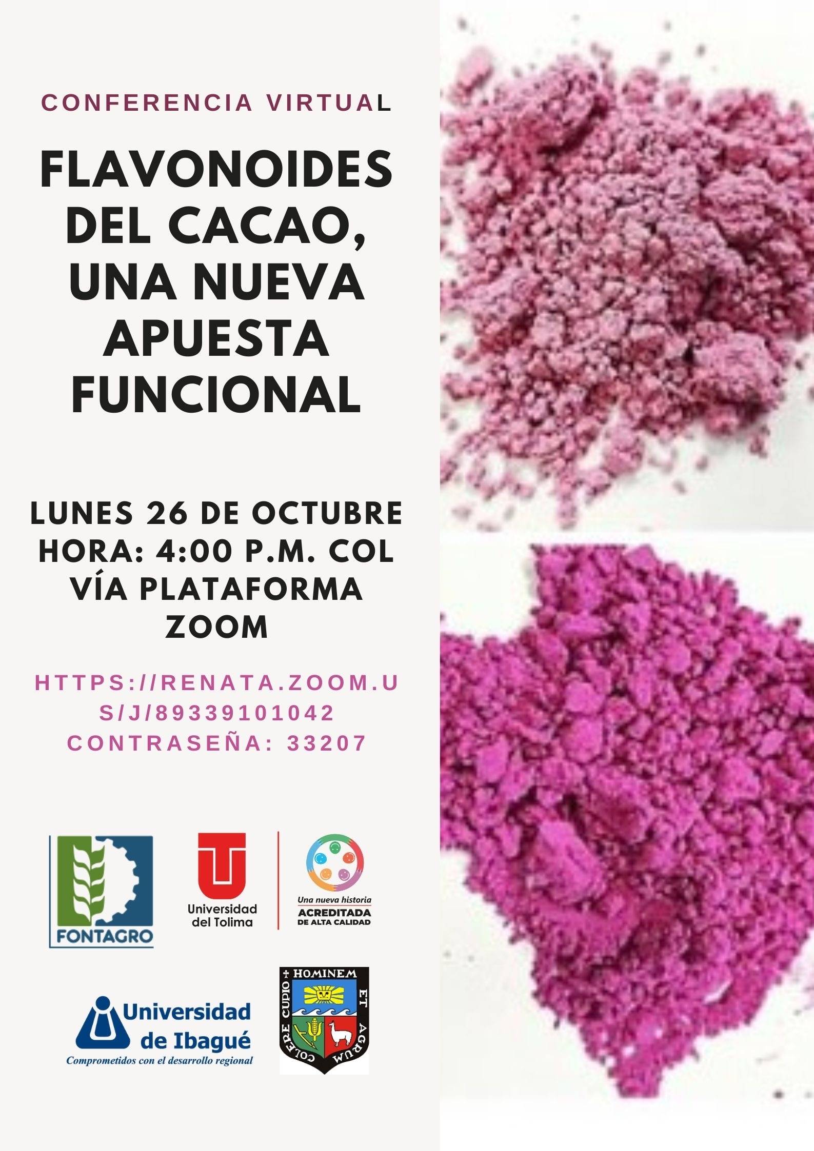 Virtual conference