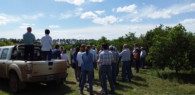 Lanzamiento de proyecto en agricultura familiar ante la amenaza del HLB