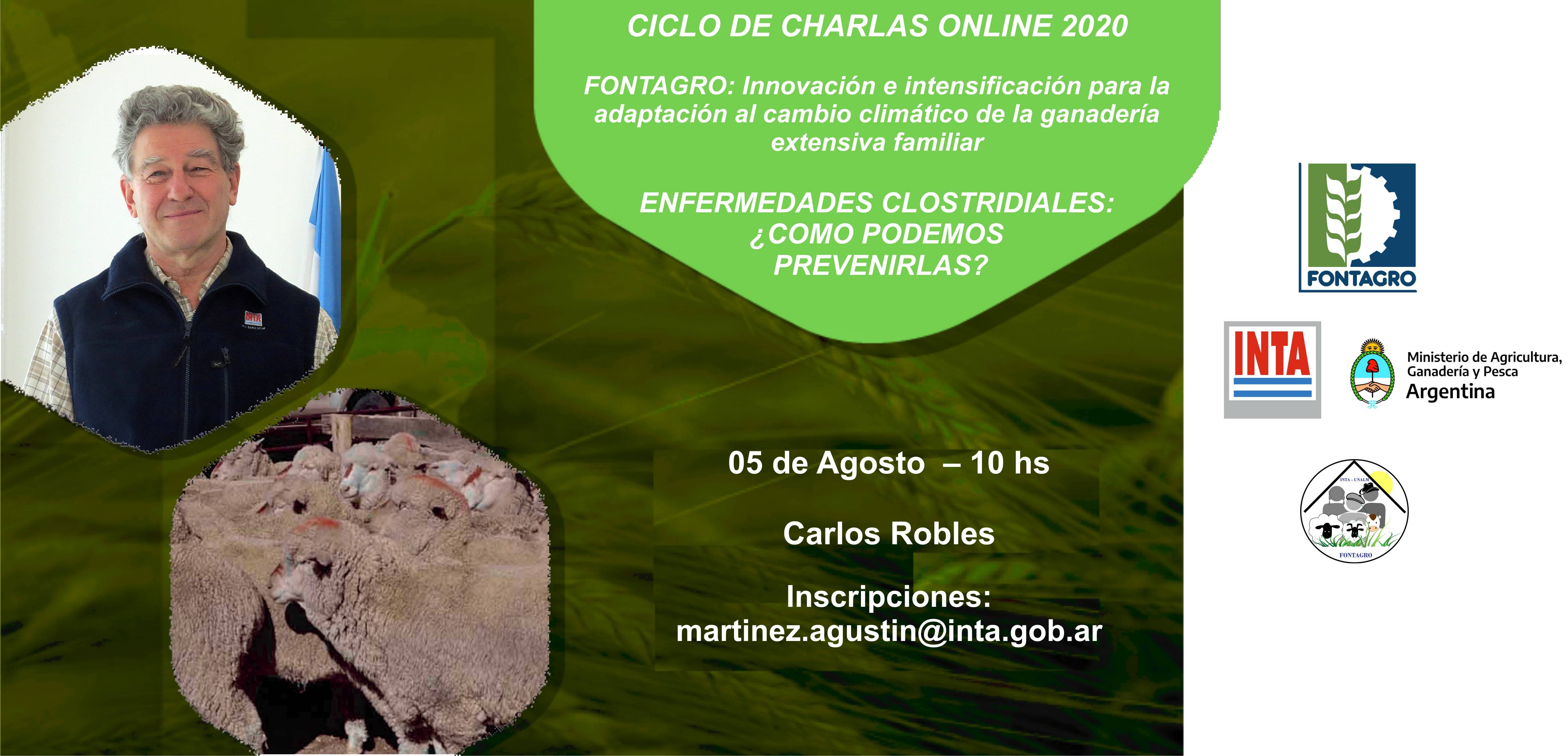 Enfermedades clostridiales en ovinos y caprinos ¿Cómo podemos evitarlas?