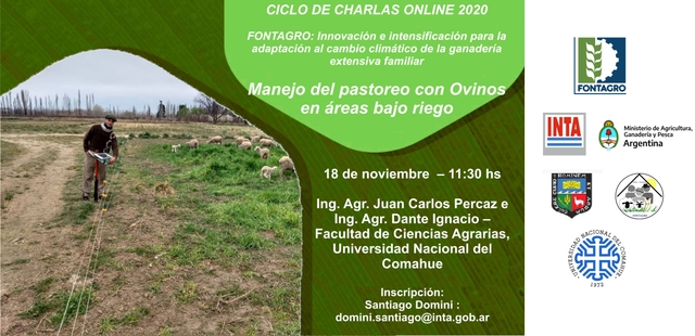 Charla online: el manejo del pastoreo con ovinos en áreas bajo riego
