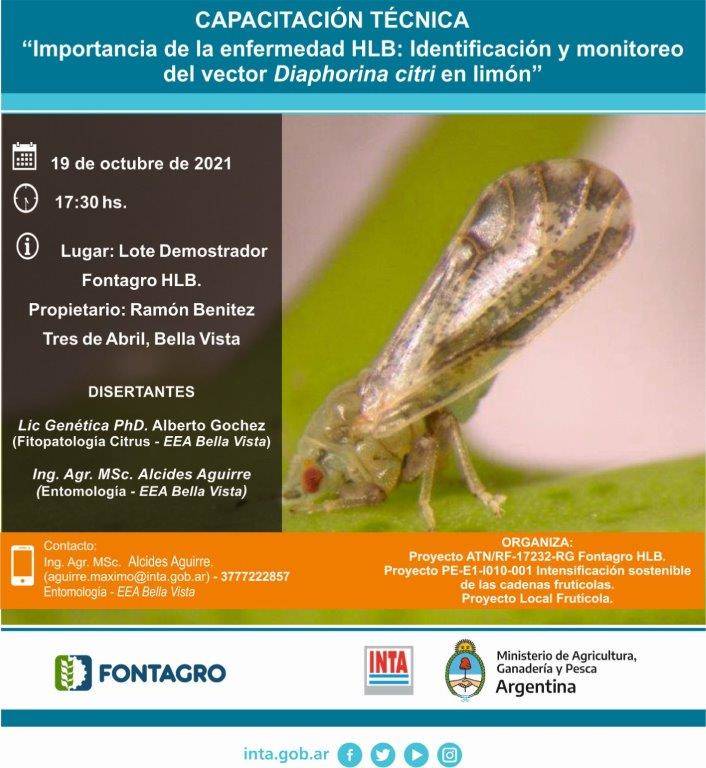 Capacitación técnica