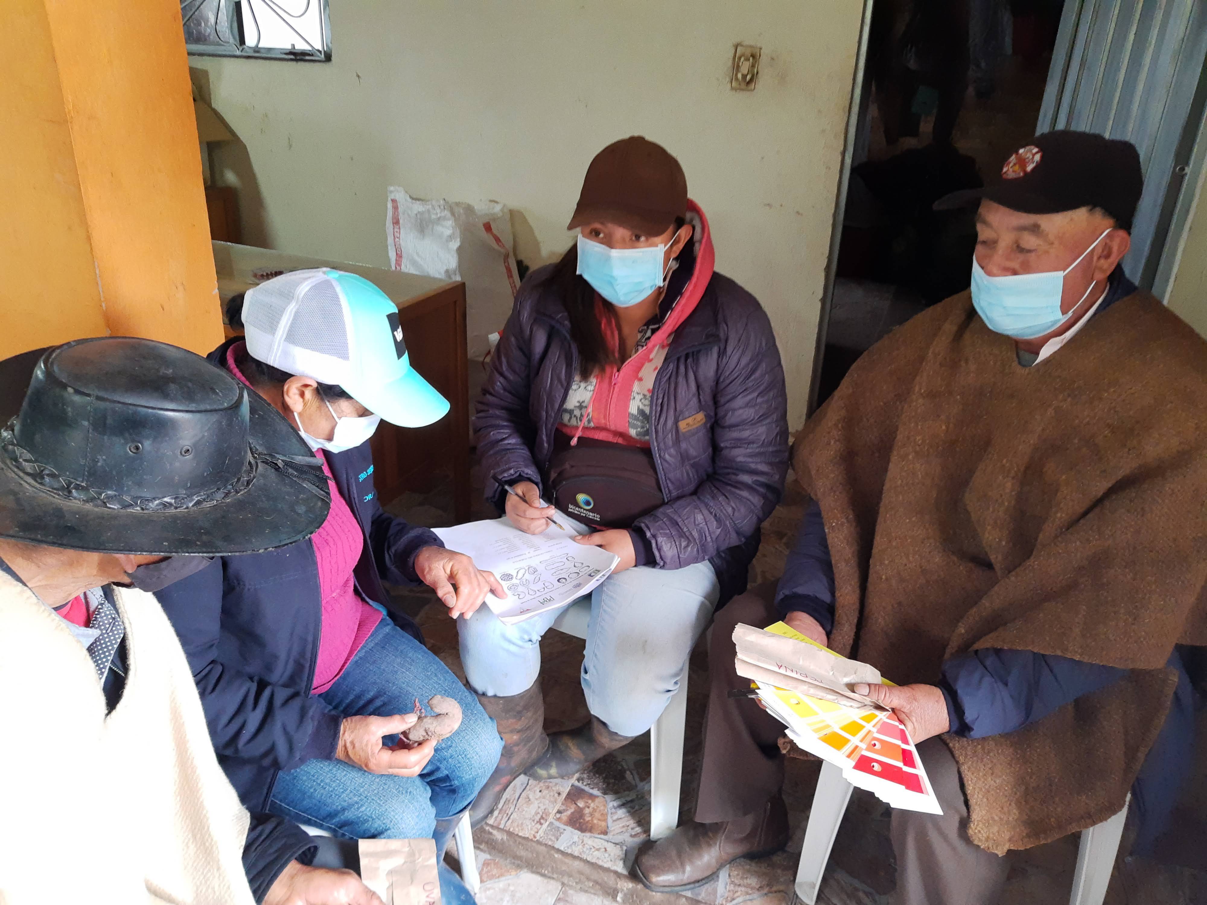 Workshops on morphological characterization of native potatoes