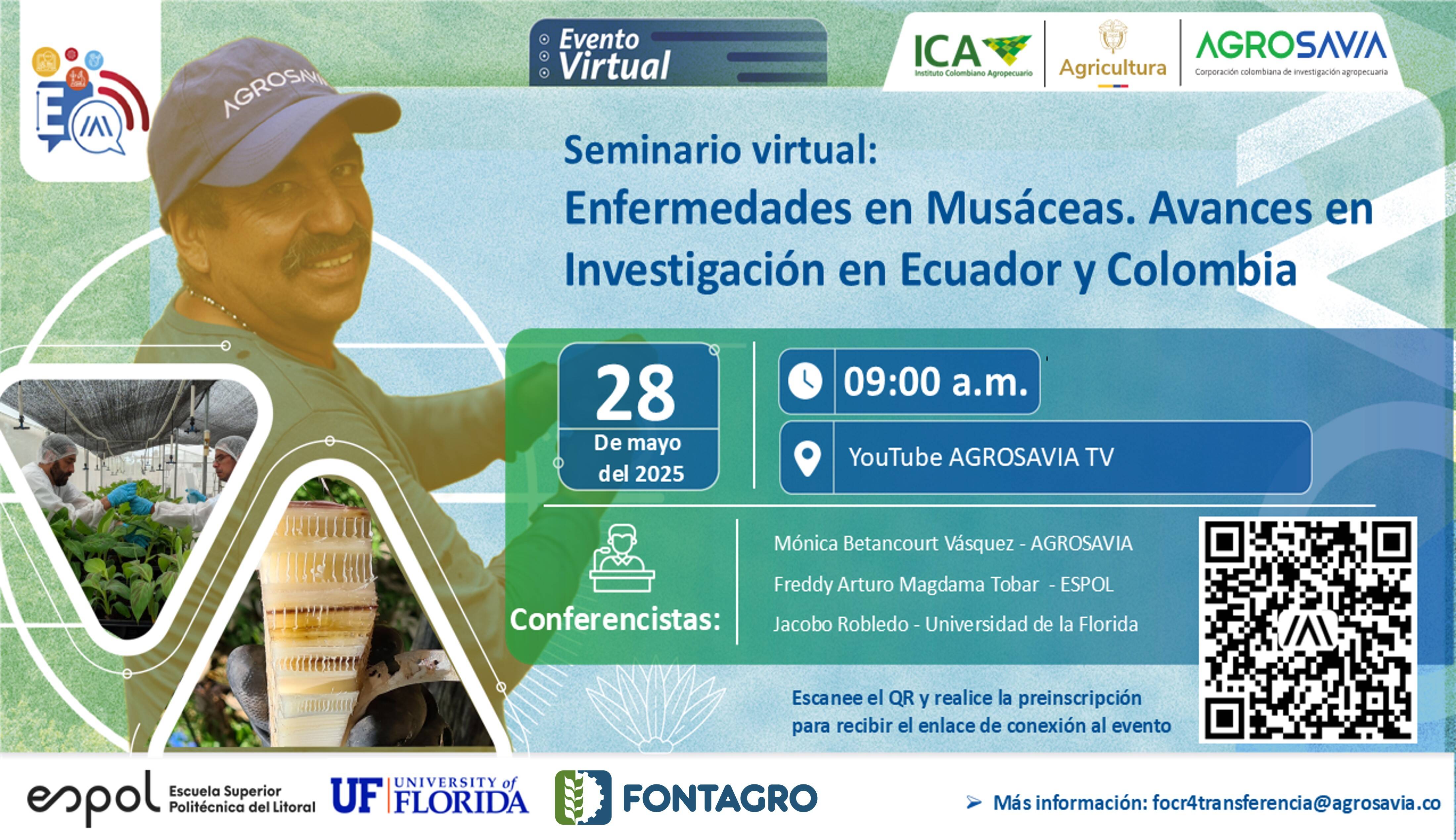 ESPOL- Ecuador y la Universidad de la Florida comparten sus avances de investigación sobre Foc R4T