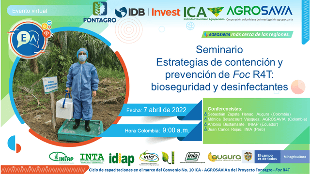 Seminario virtual