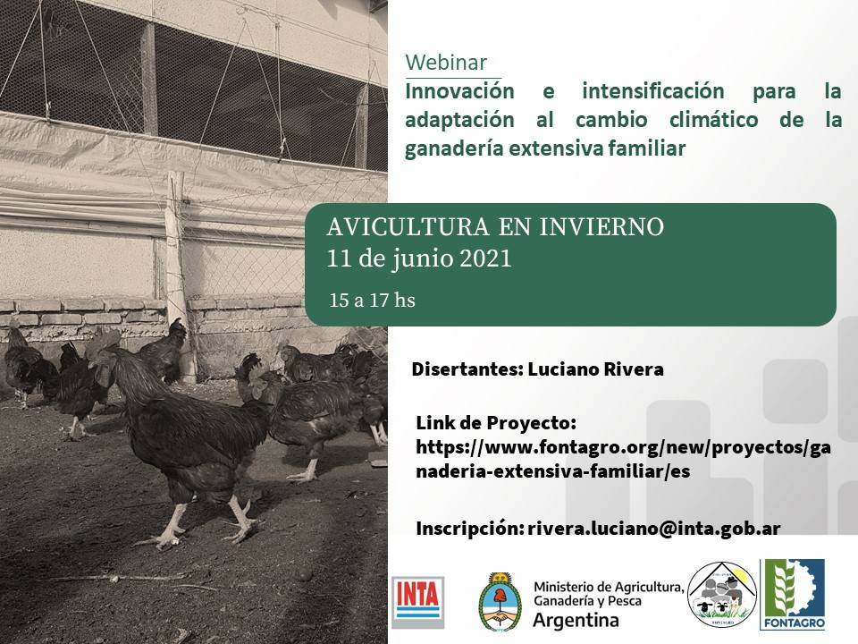 Webinar: Avicultura de invierno