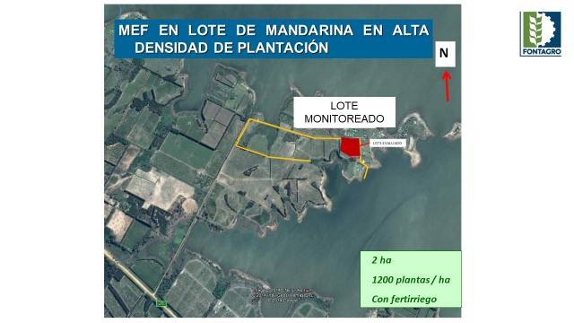 Capacitación en Metodología de Evaluación Fitosanitaria (MEF)