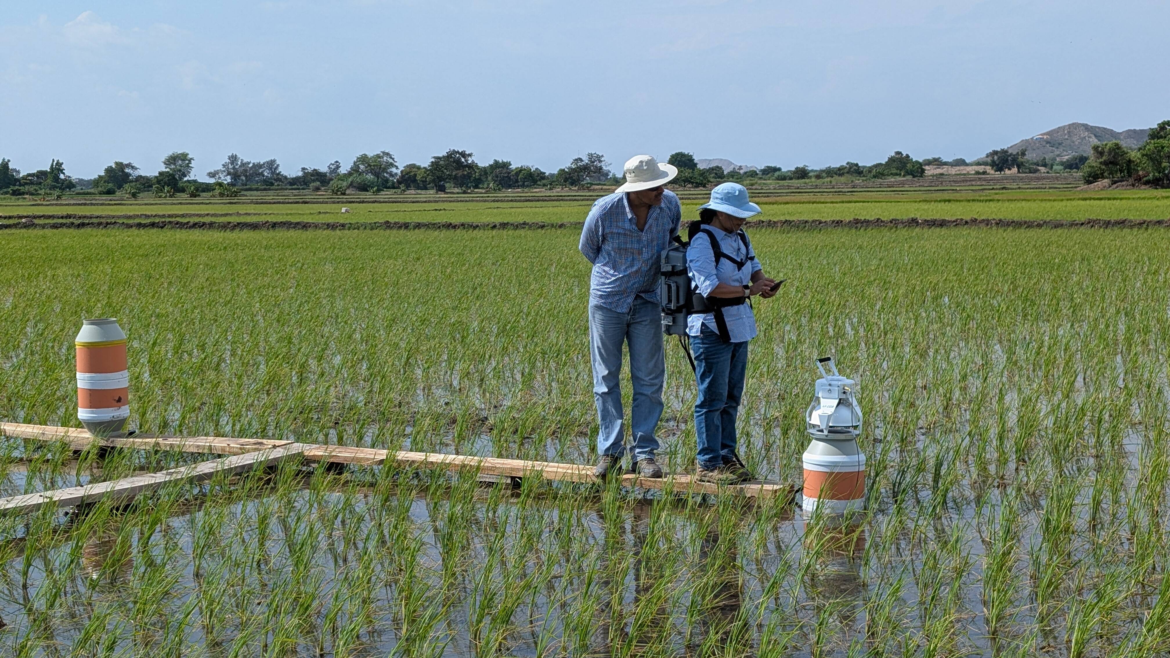 Advancing Greenhouse Gas Monitoring in Latin American Rice Fields: New Technologies Deployed at UNALM, Peru