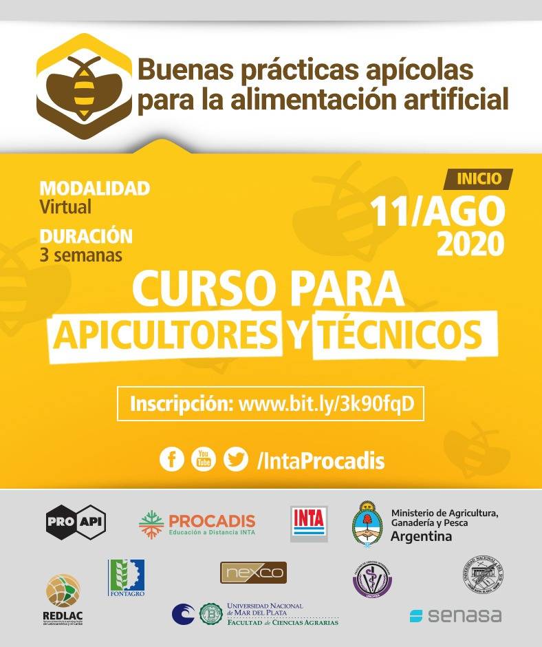 Good practices in bee feeding