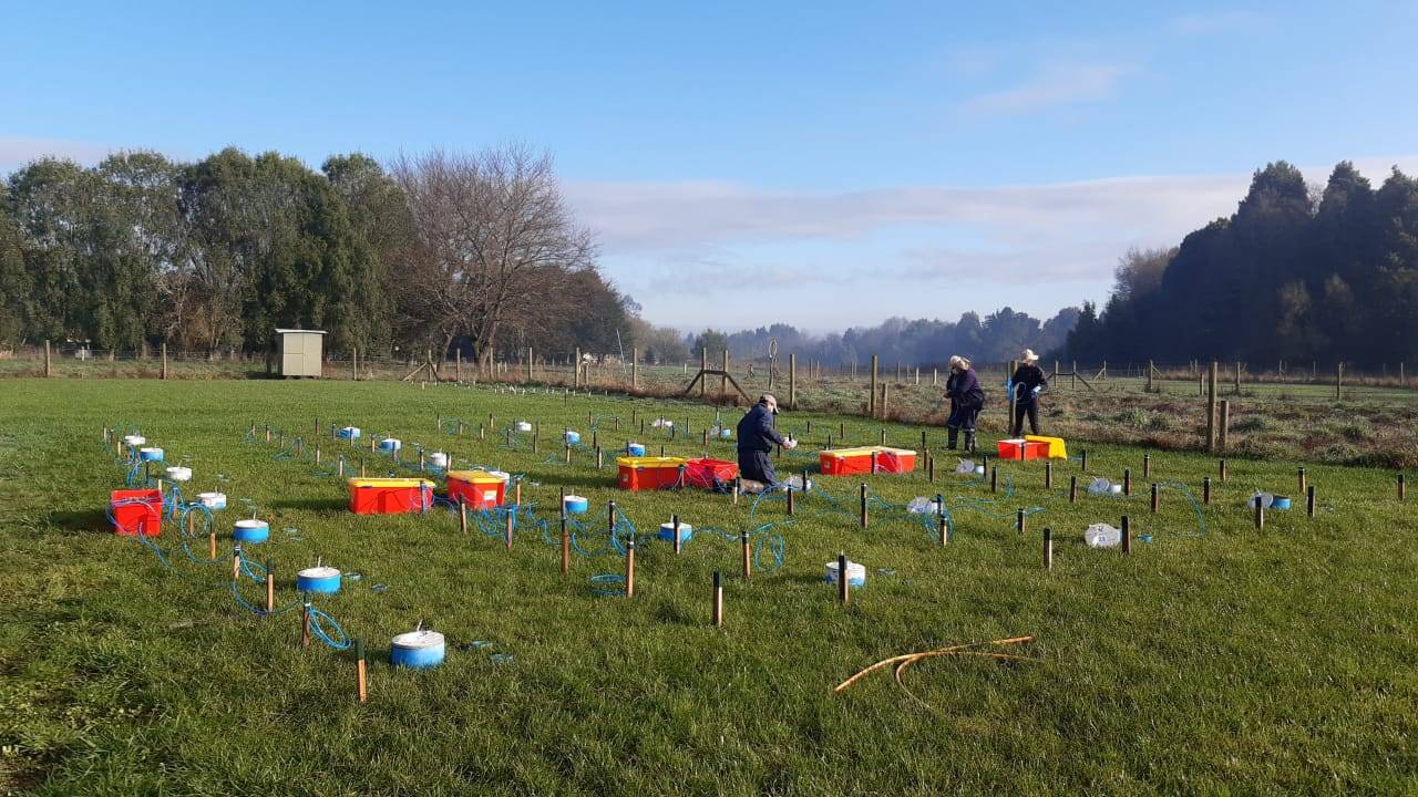 Sampling of N<sub>2</sub>O emissions and NH<sub>3</sub> volatilization in Chile