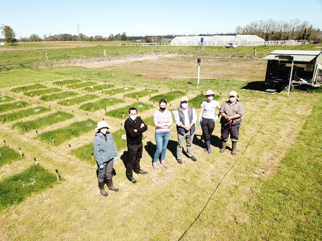 Divulgación del trabajo realizado por INIA-Chile en Mundo Agropecuario y Diario Lechero