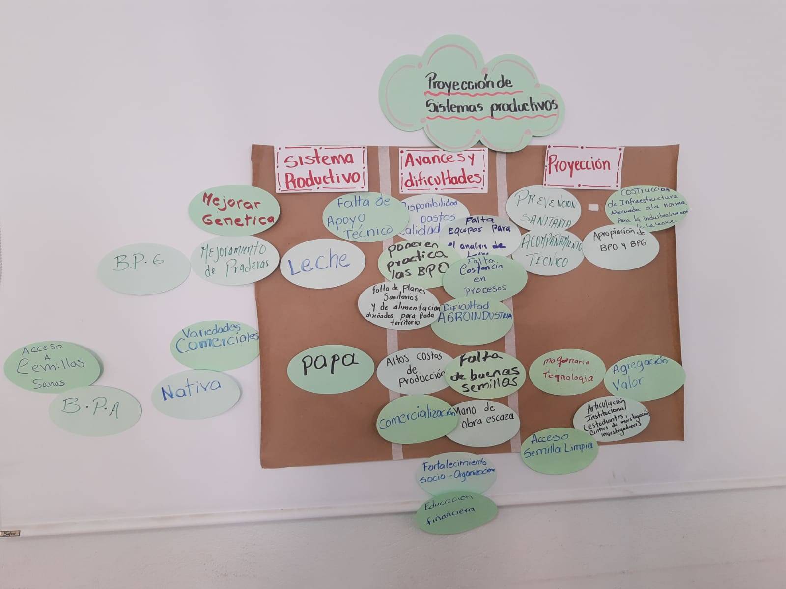 Territorial Innovation Systems and the Root to Food project