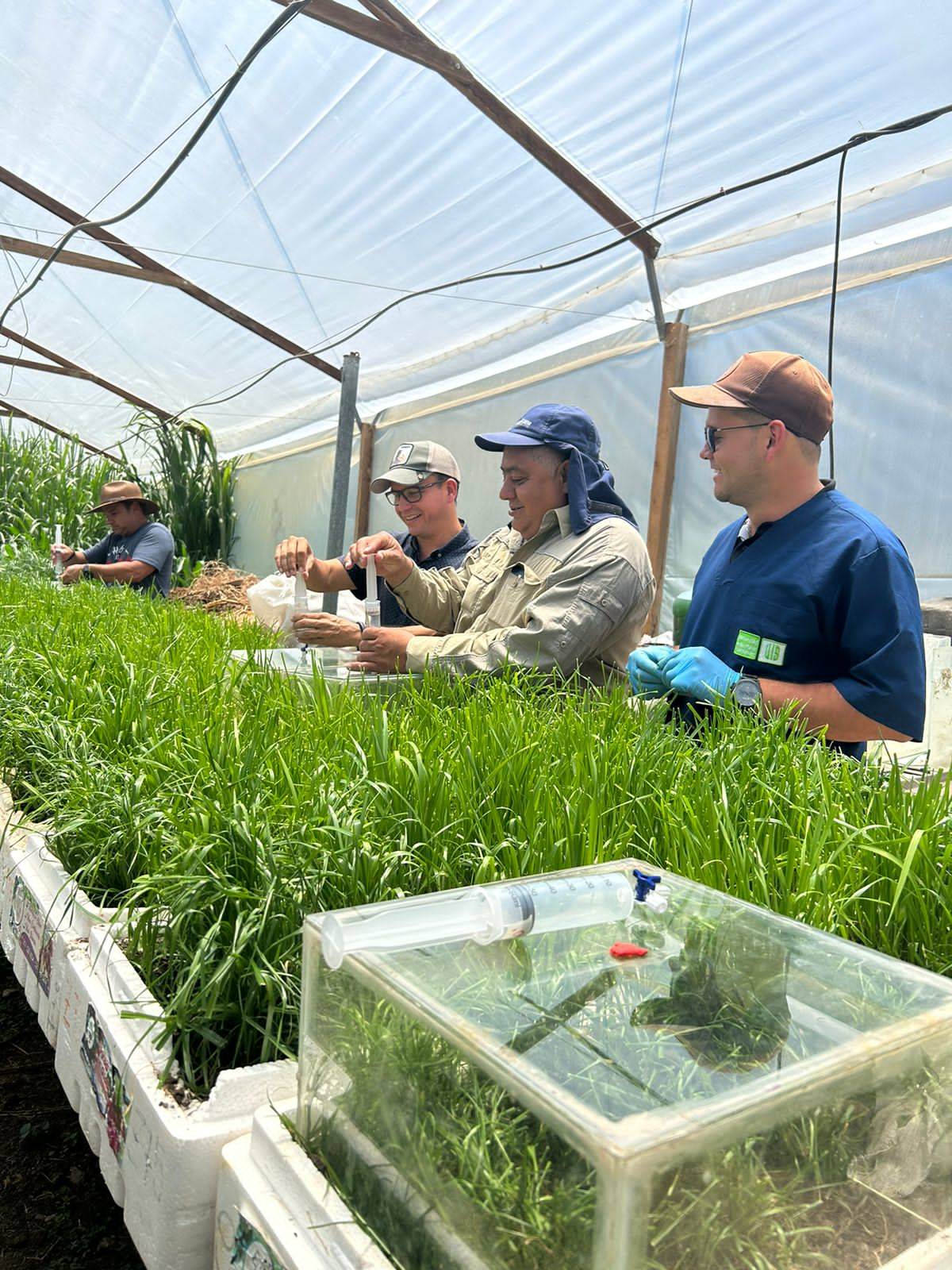 Strengthening International Ties: Researchers from Ecuador Visit Colombia in the Framework of the Nanofertilizer Project Financed by FONTAGRO