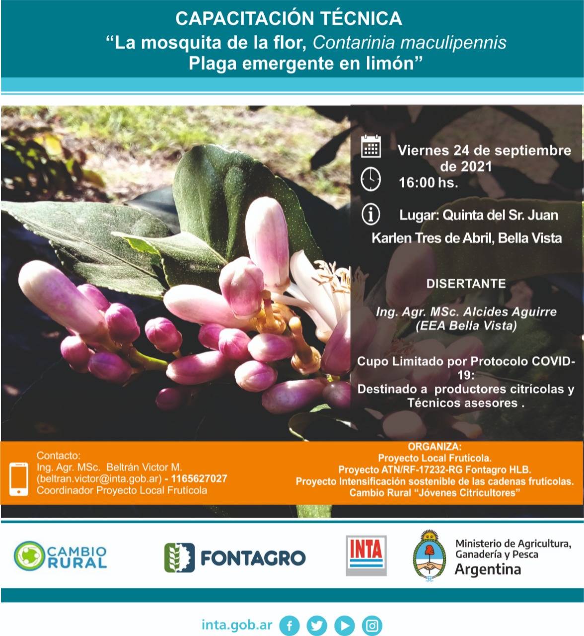 Within Fontagro Inta´s project a series of entomology trainings sessions was recently launched