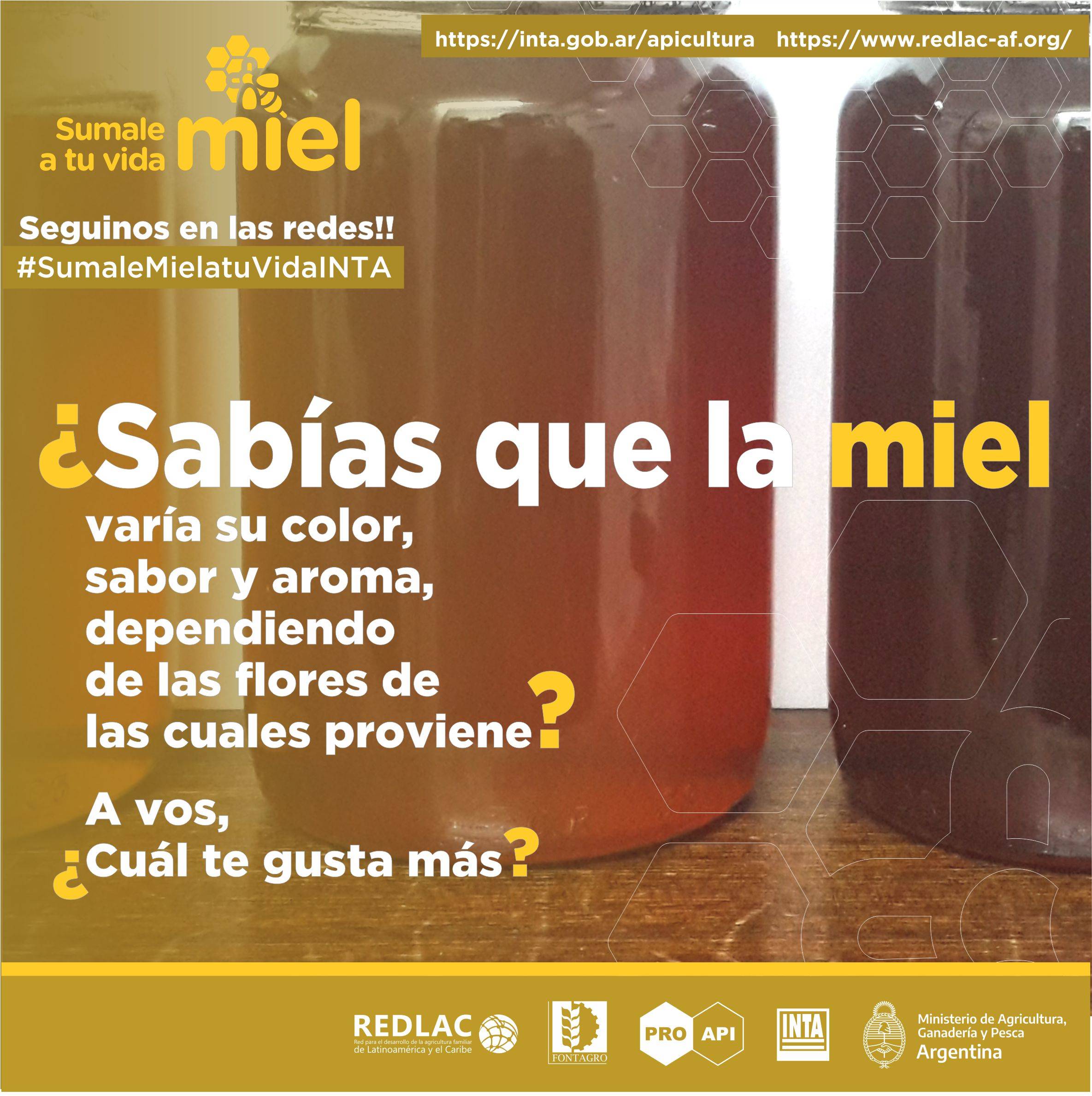 Honey Diversity
