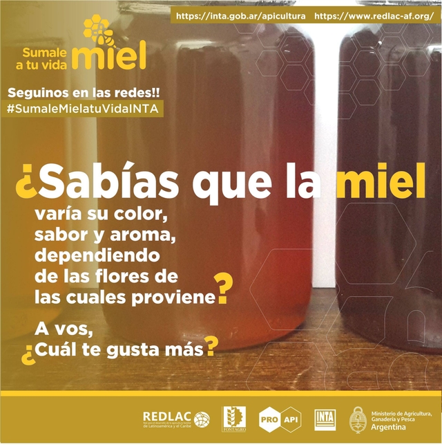 Honey Diversity