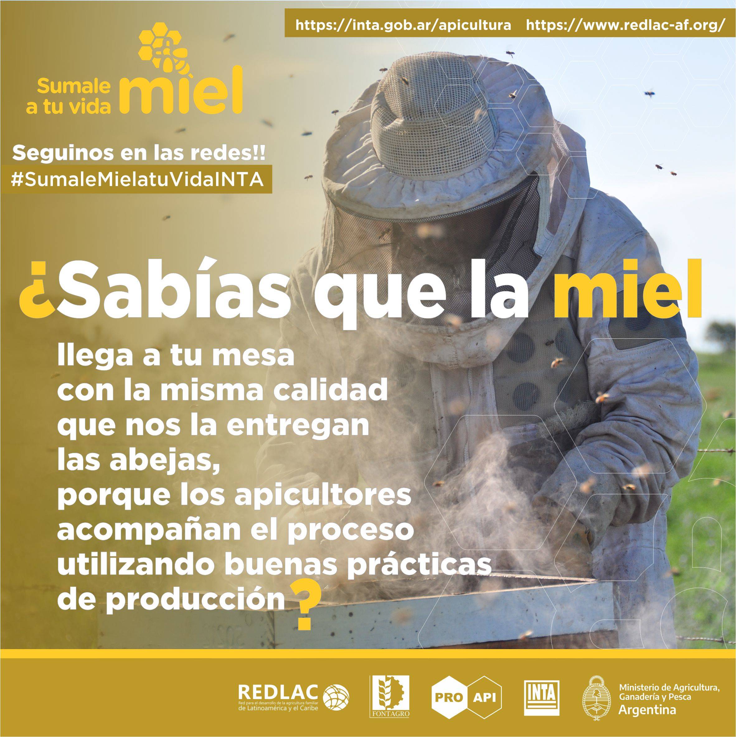 Good Practices to guarantee quality