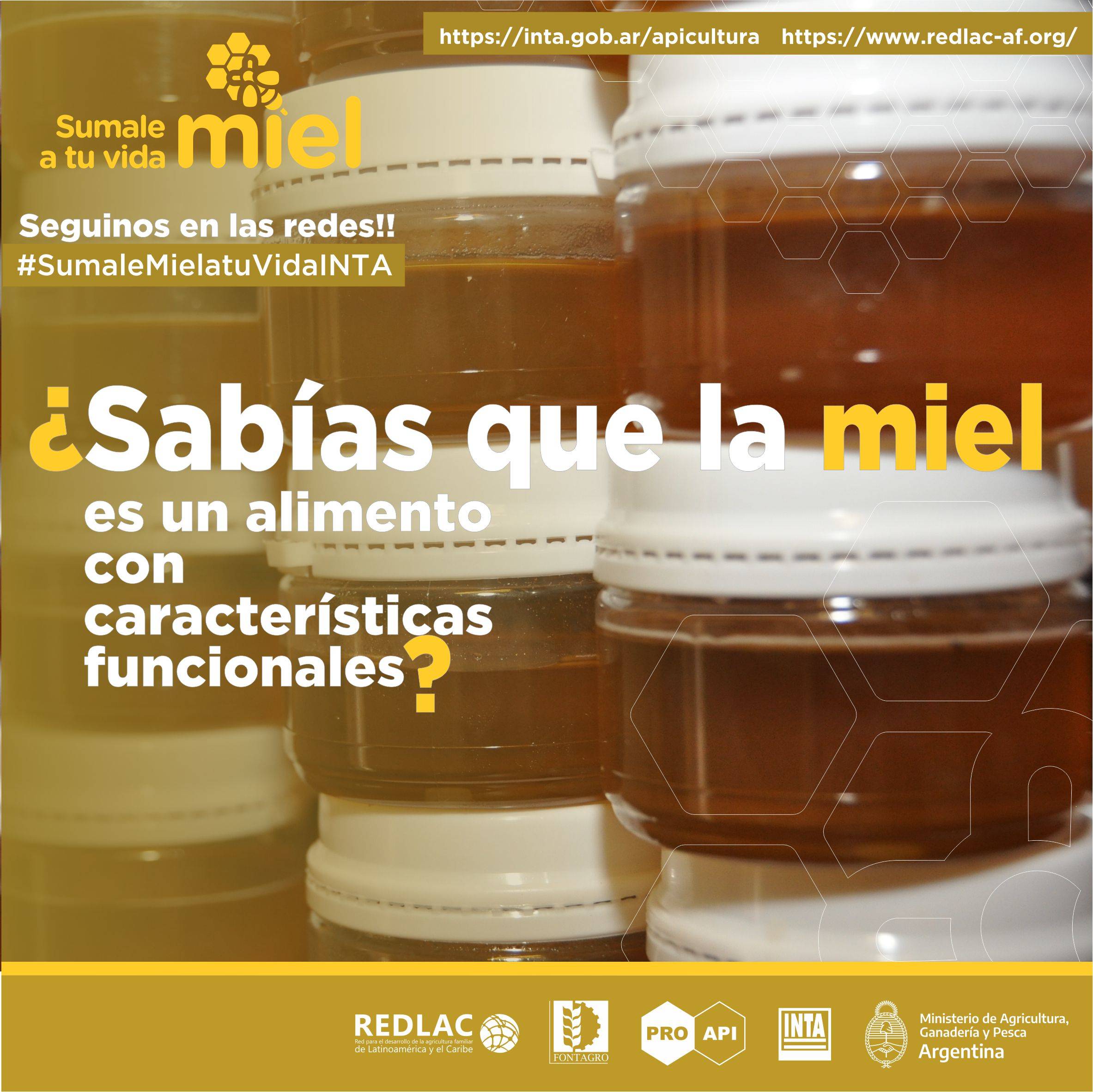 Functional characteristics of honey