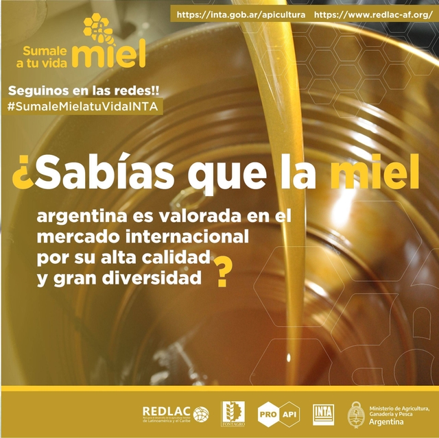 Argentine Honey synonymous with quality and diversity