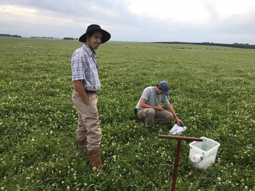 Actividades realizadas por INIA Uruguay en el 2021