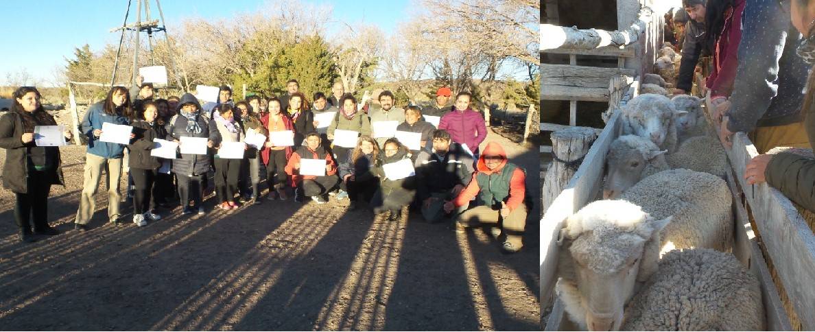 Conference with producers, technicians and students on animal nutrition