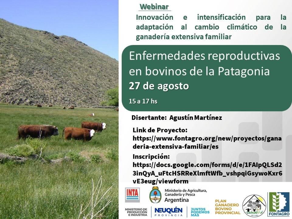 Webinar