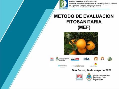 Capacitación virtual sobre la Metodología de Evaluación Fitosanitaria (MEF)