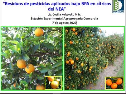Residuos de pesticidas aplicados bajo BPA en cítricos del NEA