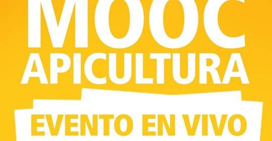 The Beekeeping MOOC ended with a student record for an online and open beekeeping course.