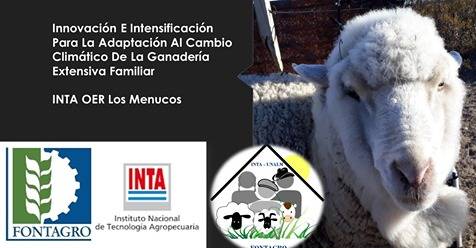 Lamb meat marketing