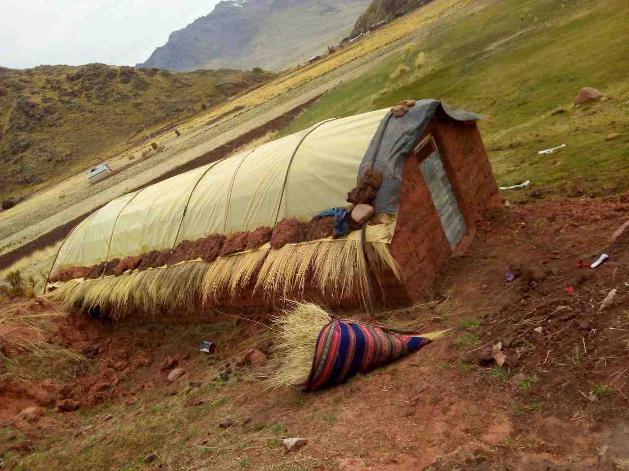 Invernaderos rústicos a 4100 msnm