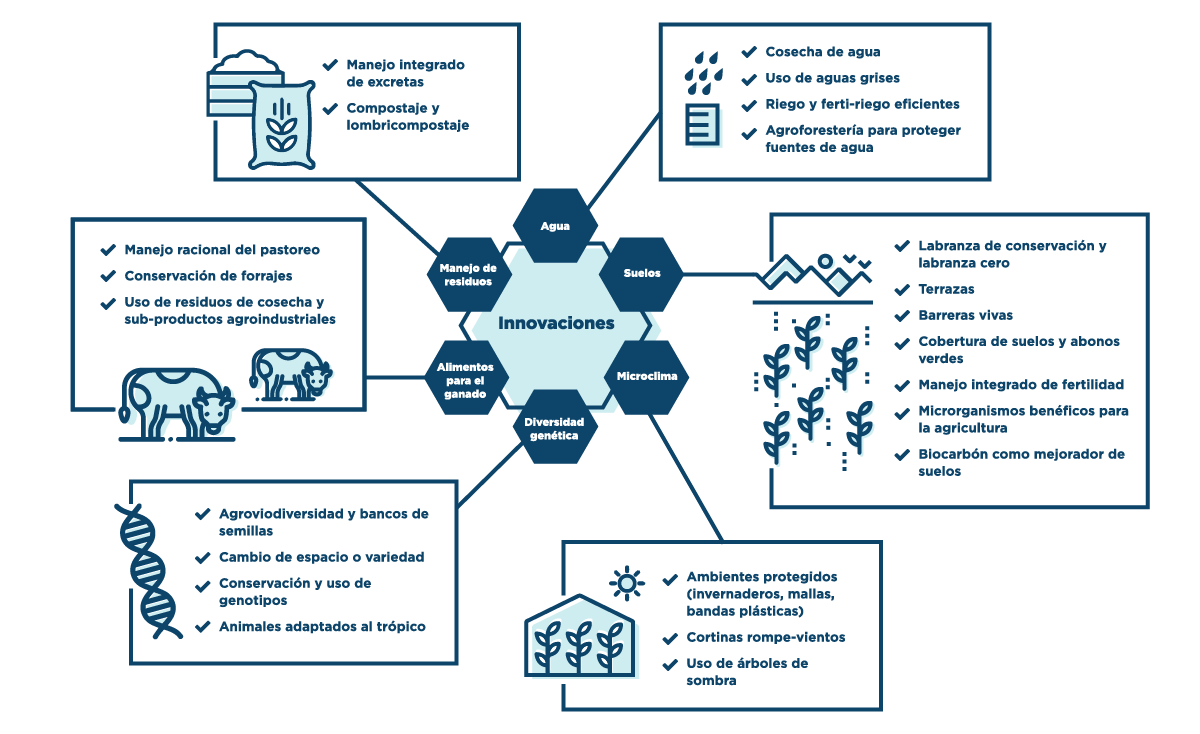 Innovations proposed to promote adaptation to climate change in agricultural and livestock systems in LAC