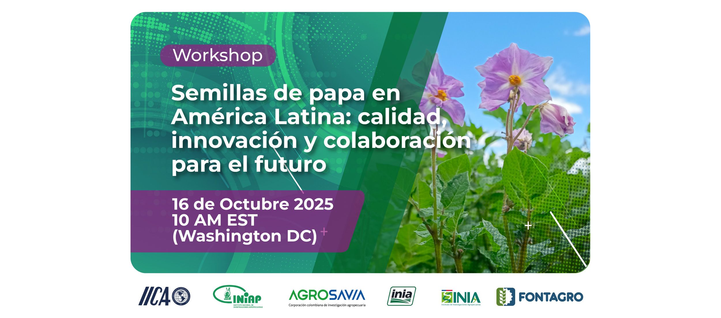 FONTAGRO Webinar Highlights Innovation and Collaboration in Potato Seed Production in LAC