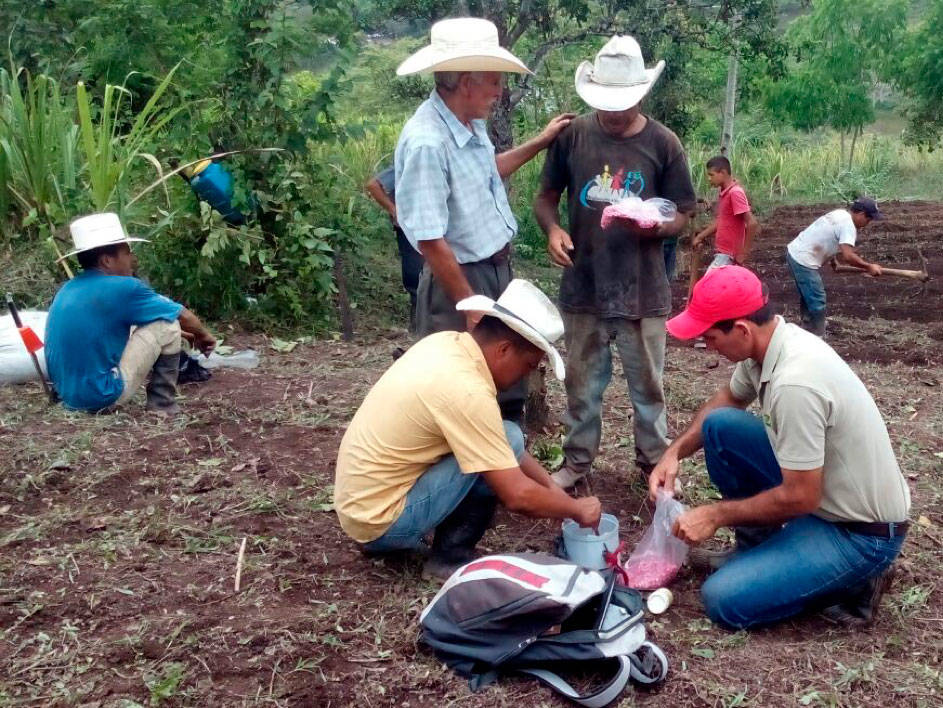 Innovation platforms for the adoption of climate-adapted technologies by smallholding farming in Honduras and Colombia