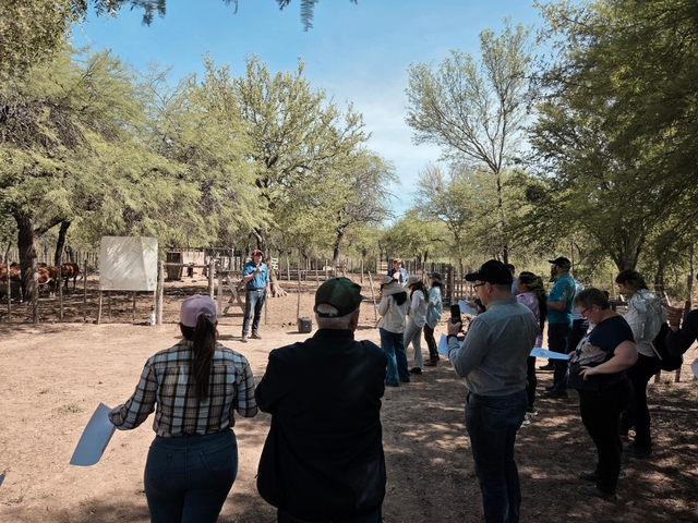 International Exchange in Santiago del Estero: Innovation and Sustainability in the Chaco Forest