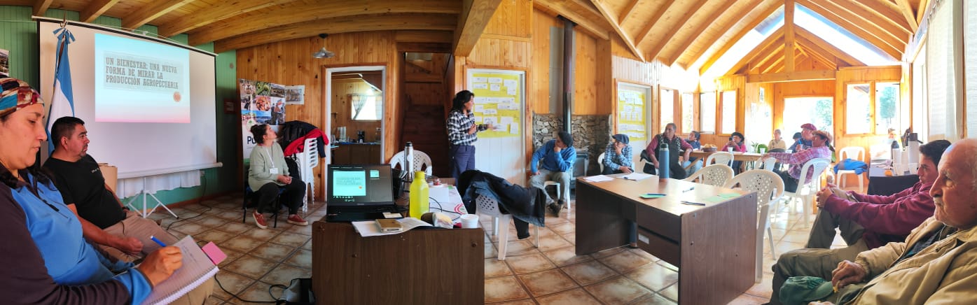 FONTAGRO promotes animal welfare in Patagonian livestock farming