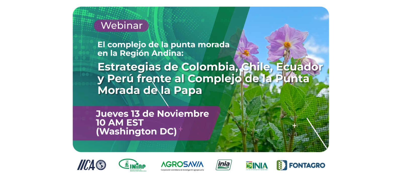 FONTAGRO Webinar: The Purple Top Complex in the Andean Region