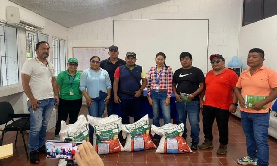 AGROSAVIA PROMOTES BEAN PRODUCTION IN THE YUKPA COMMUNITY