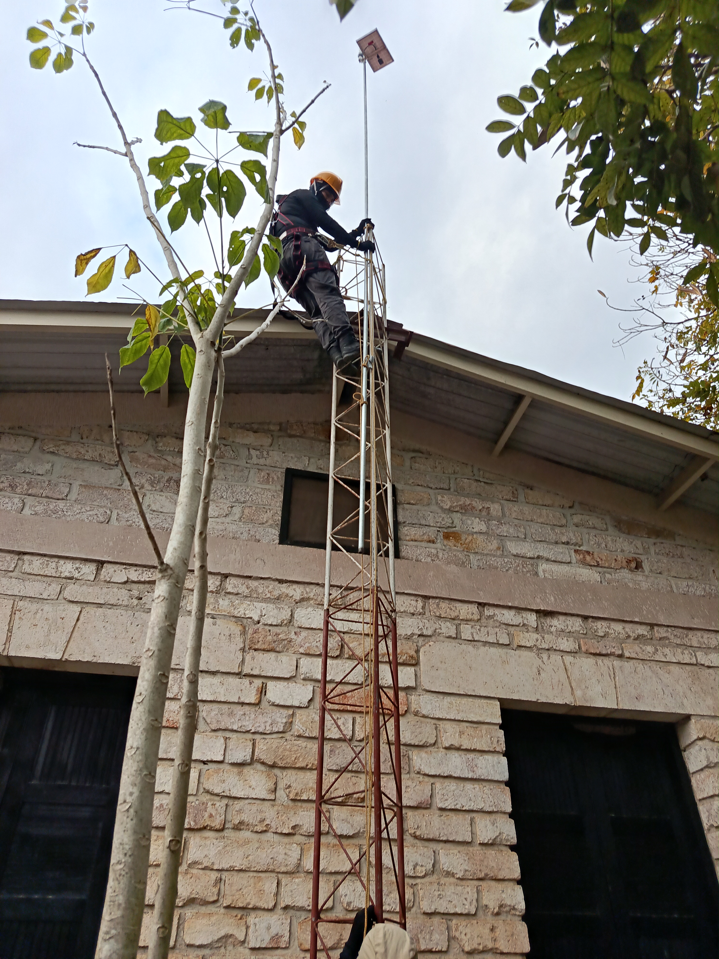 Successful Review and Maintenance Campaign of the Networks in Colombia, Ecuador, and Honduras