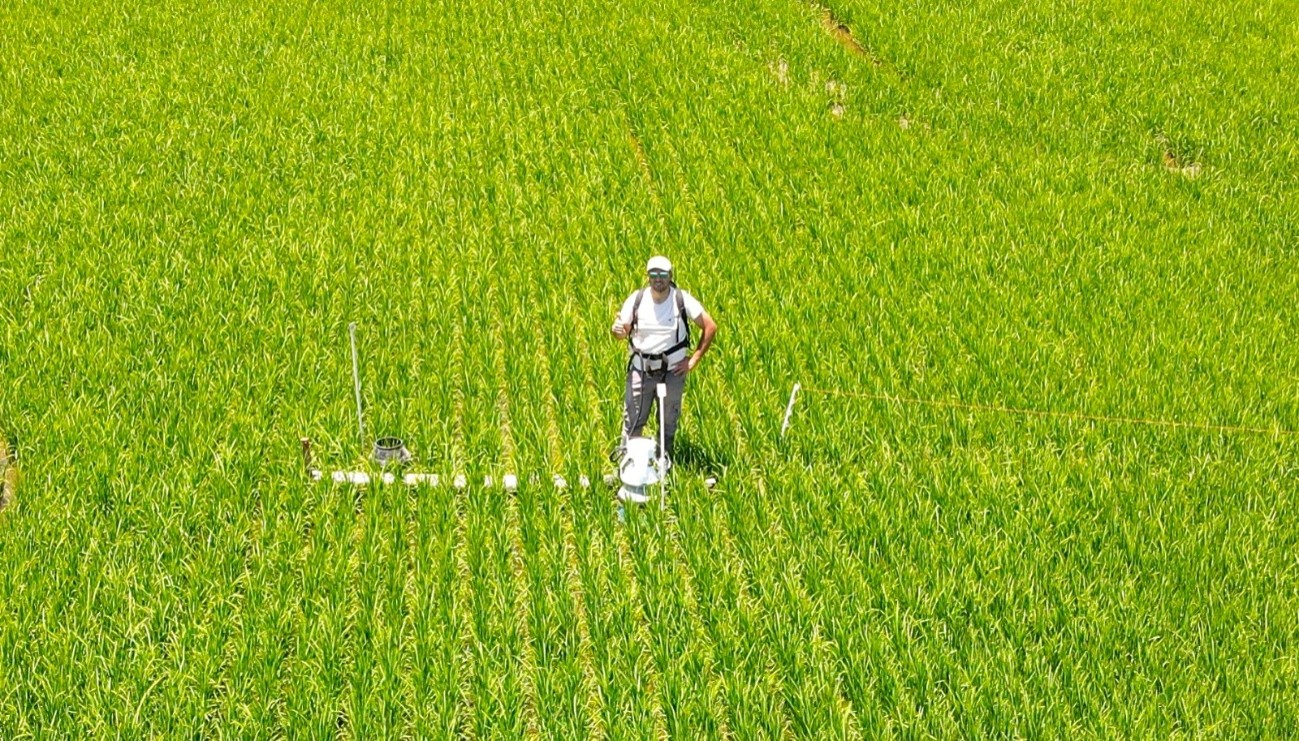 Is it possible to reduce methane emissions in rice without affecting productivity?
