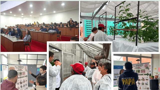 AndesPapa Project – International Day of the Potato
