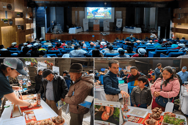 National Potato Day in Ecuador