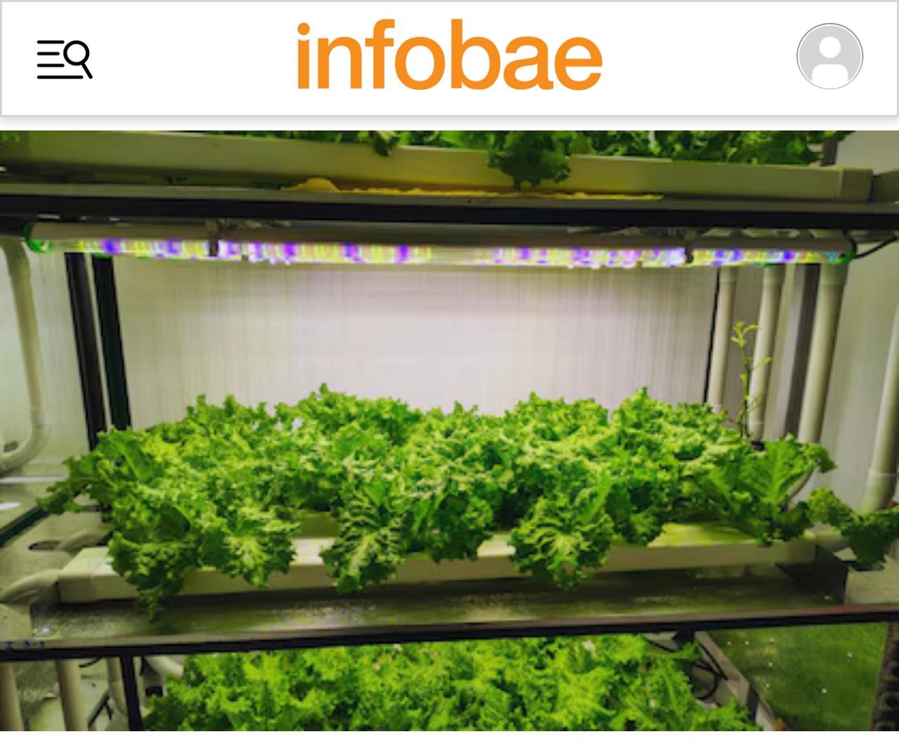 Vertical farming: more production with less water and space