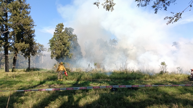 Prescribed Burning as a Tool for More Sustainable Livestock Farming