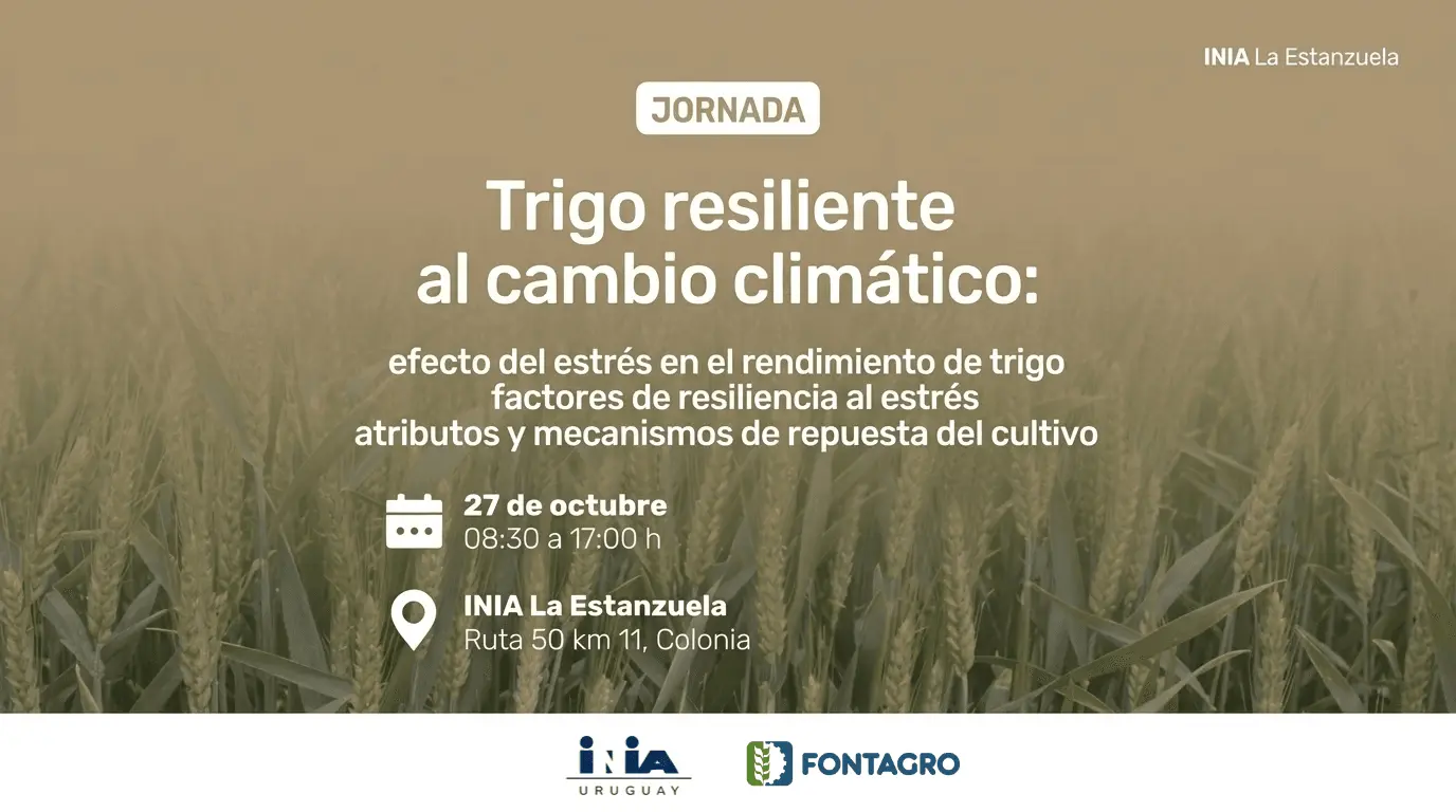 Climate-Resilient Wheat