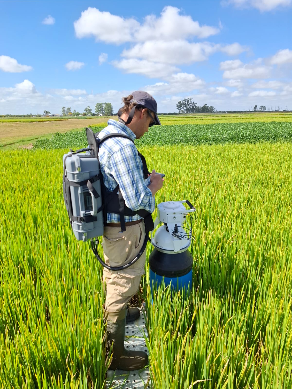 Producing While Conserving and Conserving While Producing: The Rice Strategy